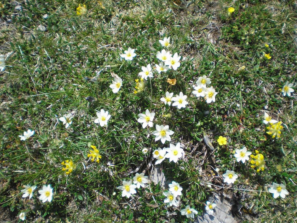 20100613 vel.planina oš beltinci - foto povečava