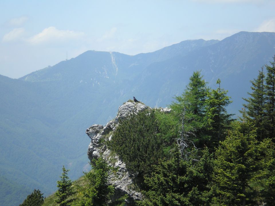 20100613 vel.planina oš beltinci - foto povečava