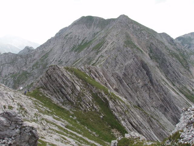 20100627 Vogel,Razor,Šija,Rodica,črna - foto