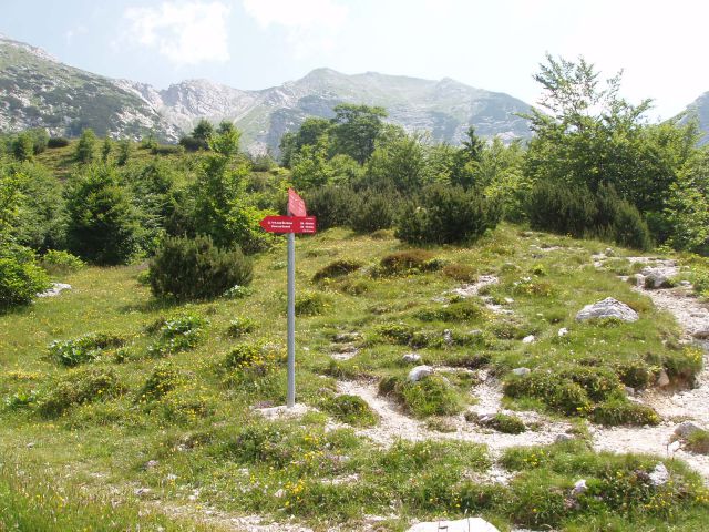 20100627 Vogel,Razor,Šija,Rodica,črna - foto