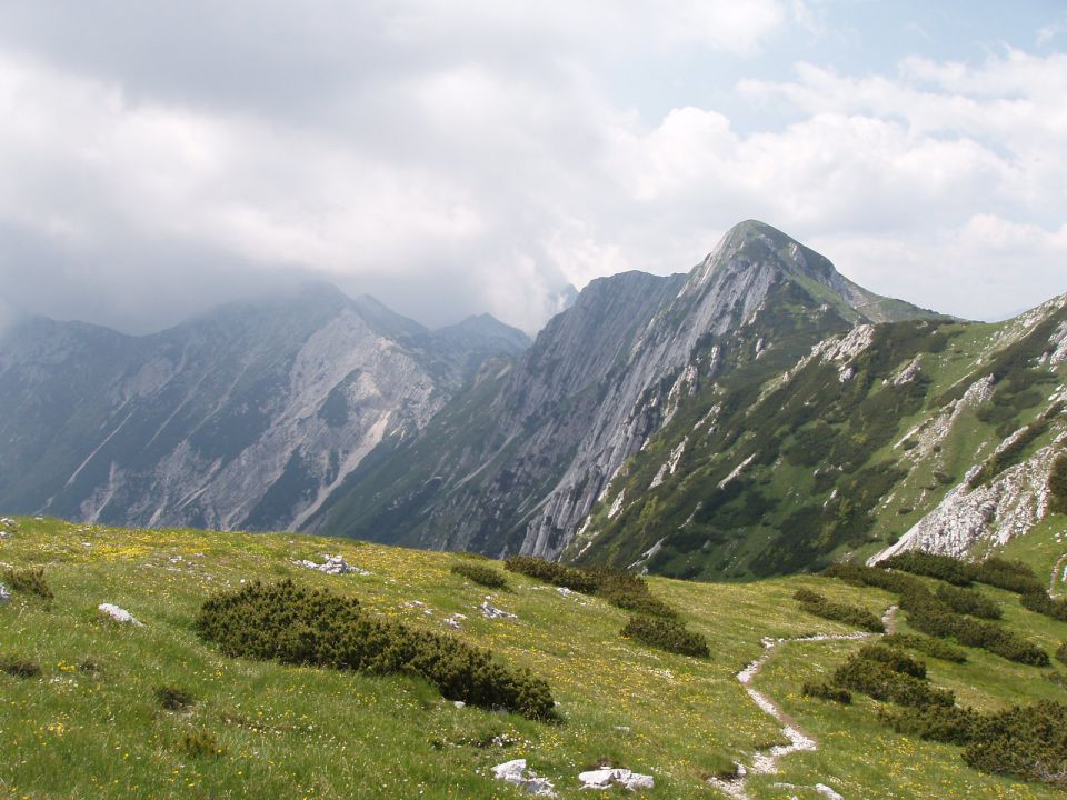 20100627 Vogel,Razor,Šija,Rodica,črna - foto povečava