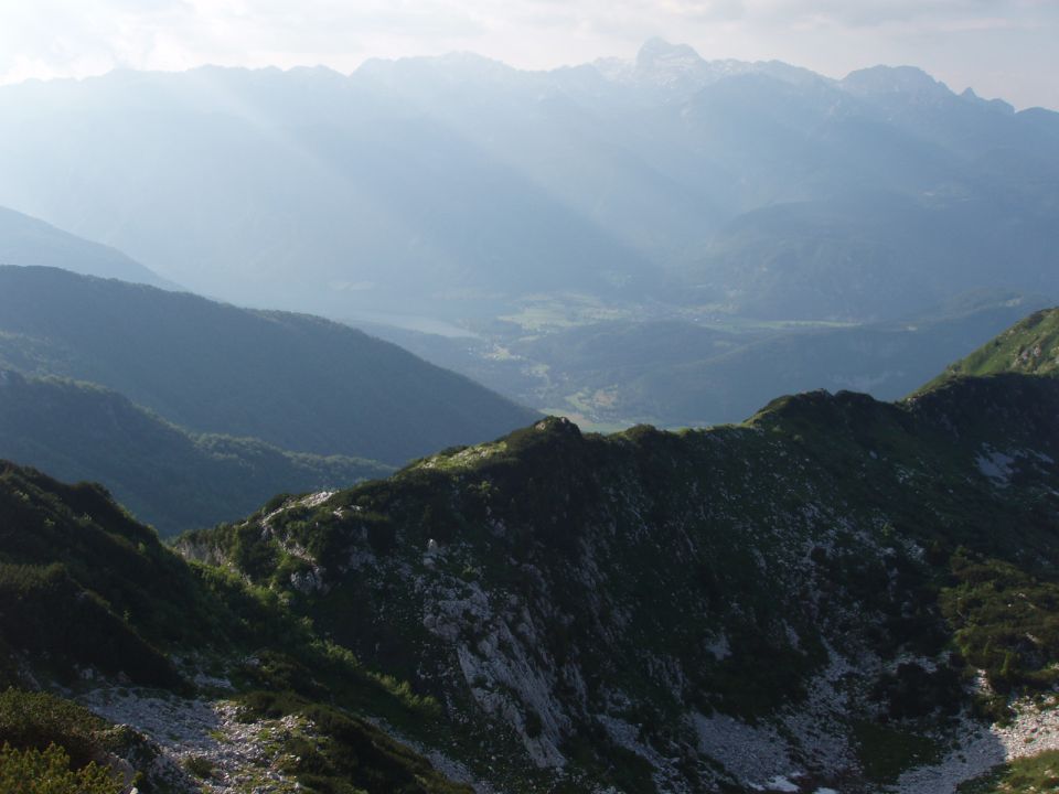 20100627 Vogel,Razor,Šija,Rodica,črna - foto povečava