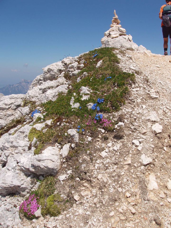 20100710 Plemenice,Planik,Kredar,za Cmir - foto povečava