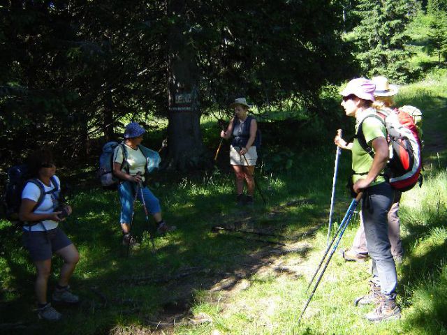 2010010 Speikkogel - foto