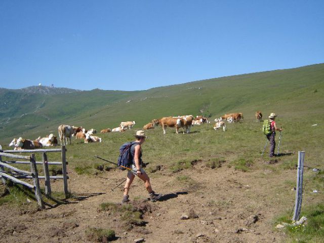 2010010 Speikkogel - foto