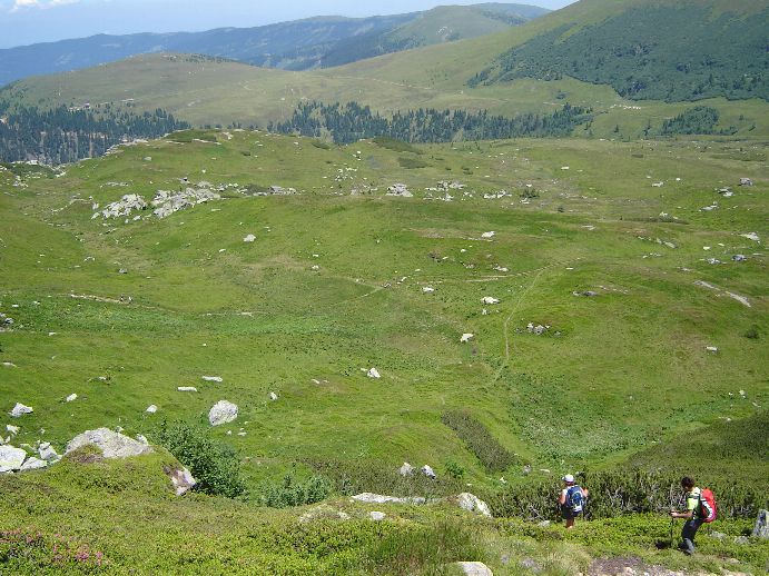 2010010 Speikkogel - foto povečava