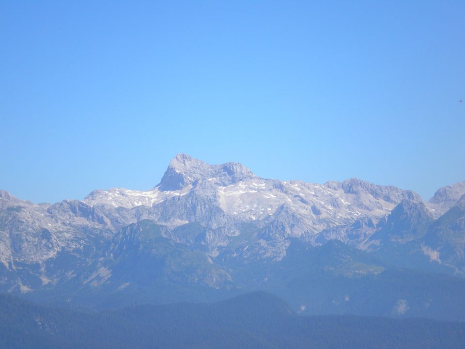 20100711 Bohinjske gore - foto povečava