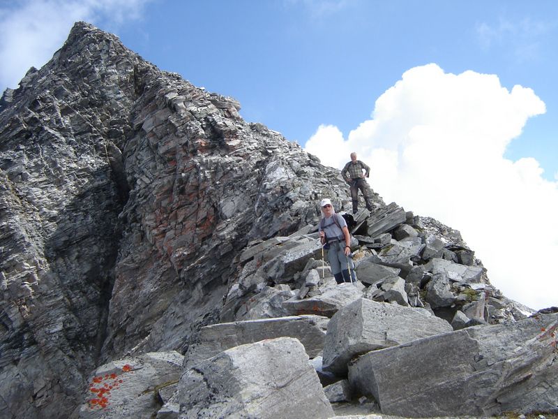 20100717 Ankogel - foto povečava