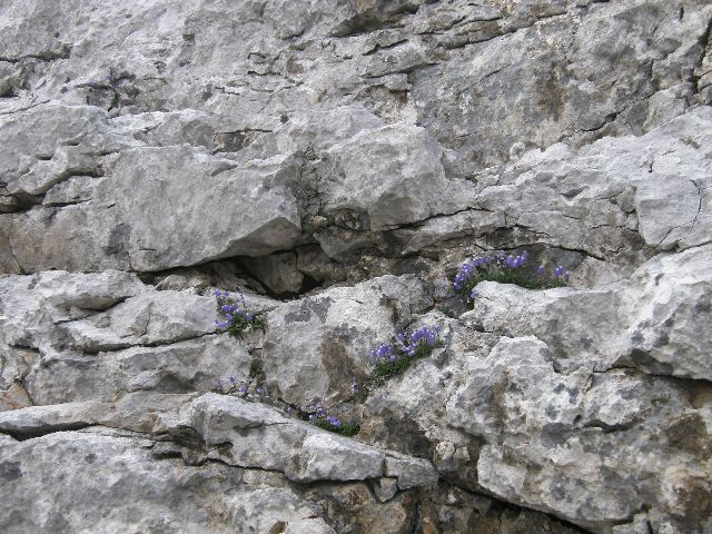 20100821 Triglav - Rudno polje - foto povečava