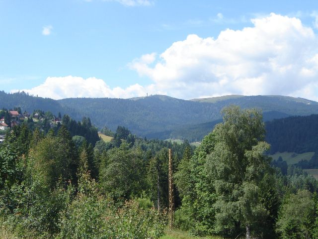 Gora Feldberg