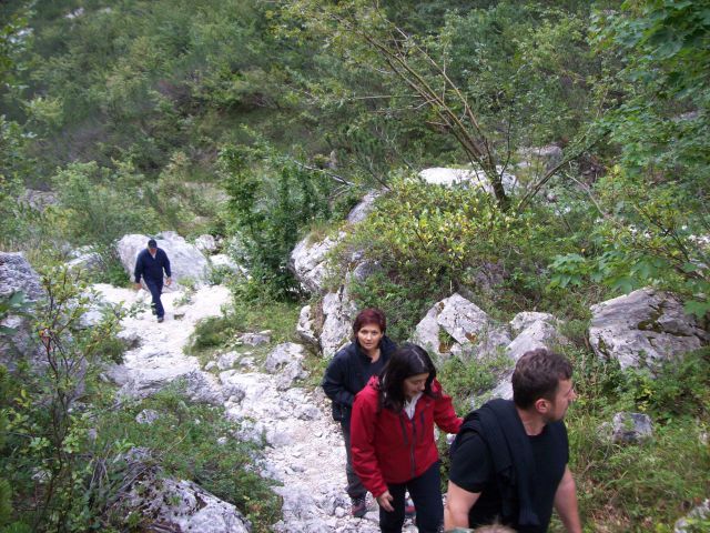 20100903 VDC-Mojstrana,Vrata,Tamar - foto