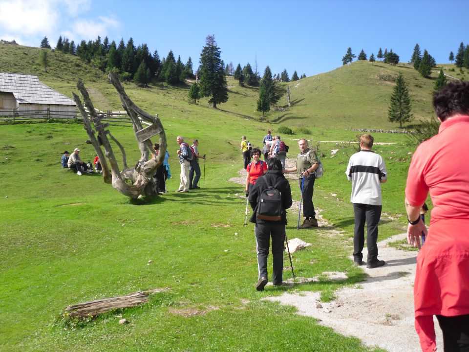 20100912 Velika planina - foto povečava