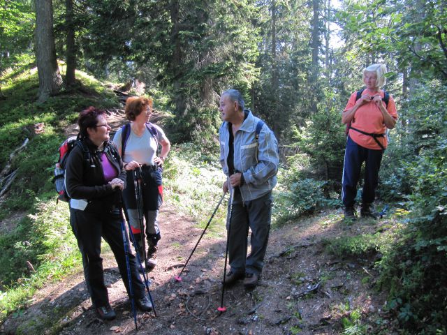 20100912 Ciprnik in martuljški slapovi - foto