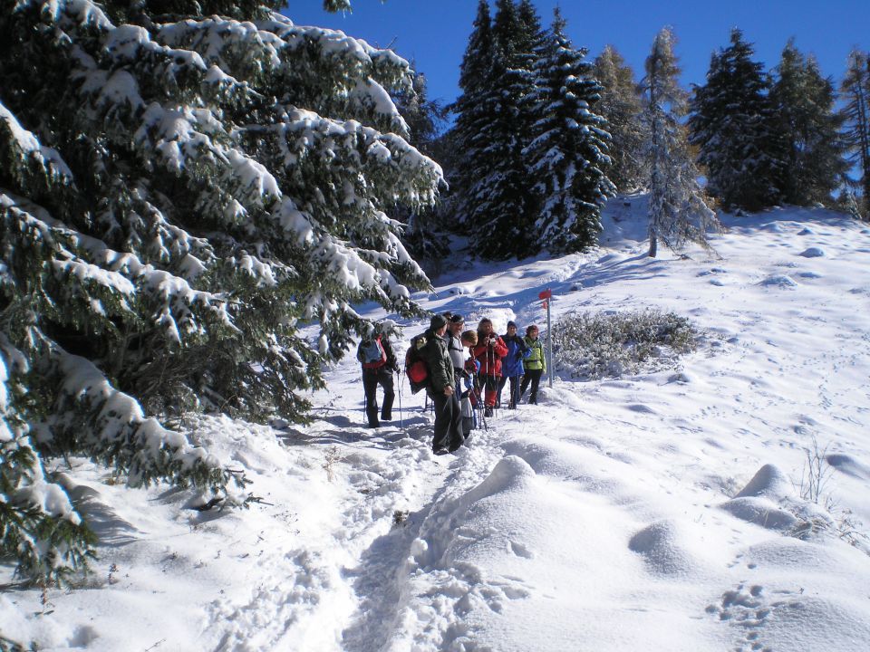 20101021 Uršlja gora - foto povečava