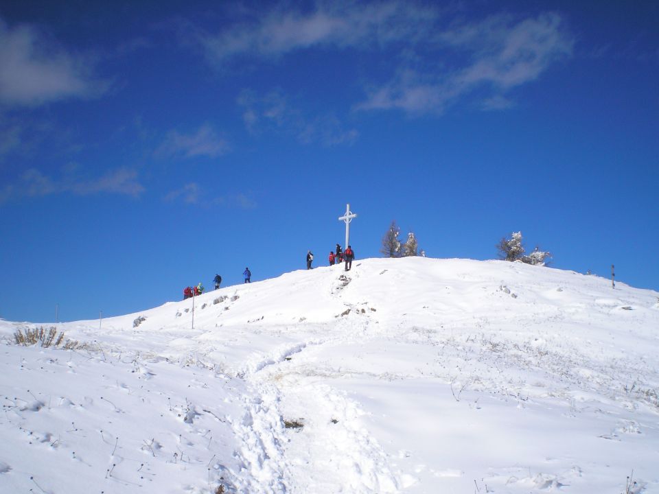 20101021 Uršlja gora - foto povečava