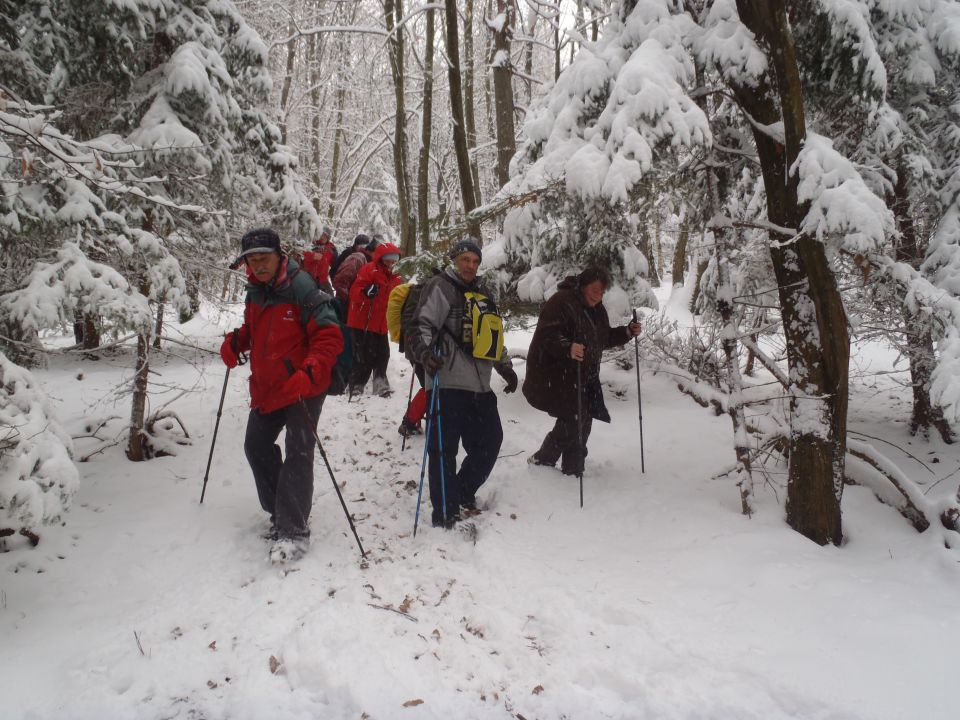 20101218 Božični pohod-Pertoča - foto povečava