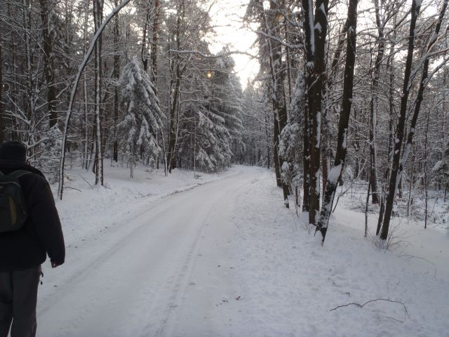 20101218 Božični pohod-Pertoča - foto