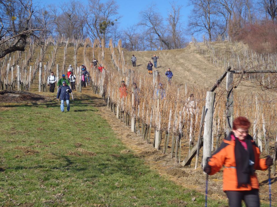 20110123 Vincekov pohod - cro - foto povečava