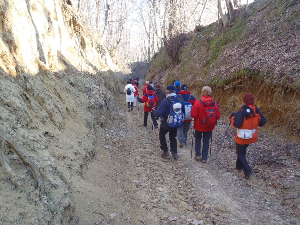 20110123 Vincekov pohod - cro - foto povečava