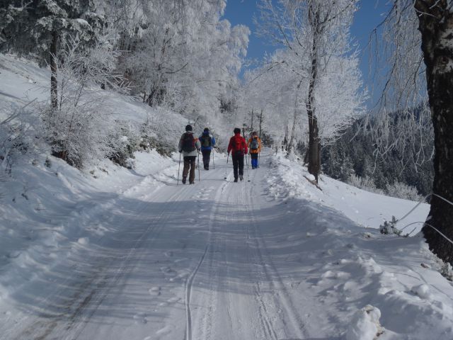 20110130 Planinc, Kremžarica, Kope - foto