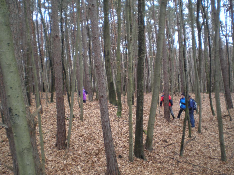 20110212 Valentinov pohod - foto povečava