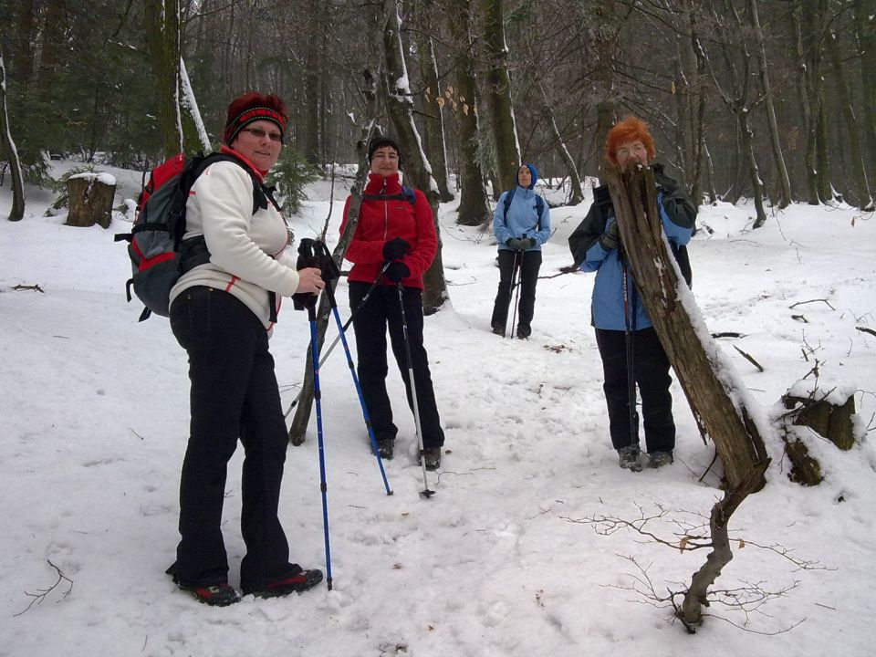 20110220 po transverzali na belevue - foto povečava