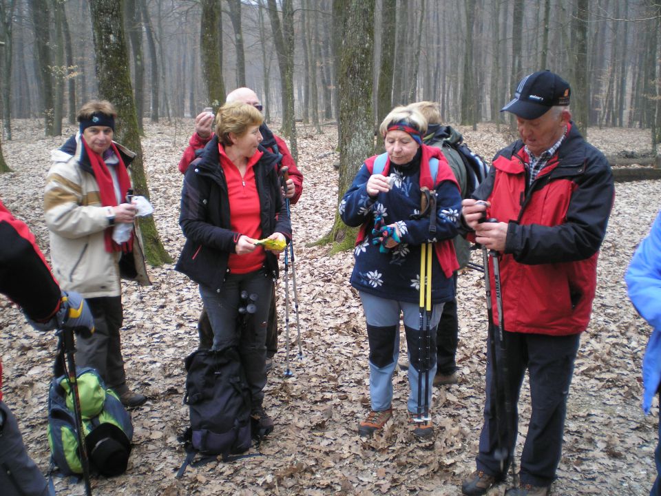 20110227 Hanc - Avgusta Delavca - foto povečava