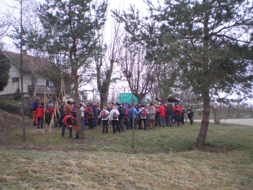 20110227 Hanc - Avgusta Delavca - foto povečava