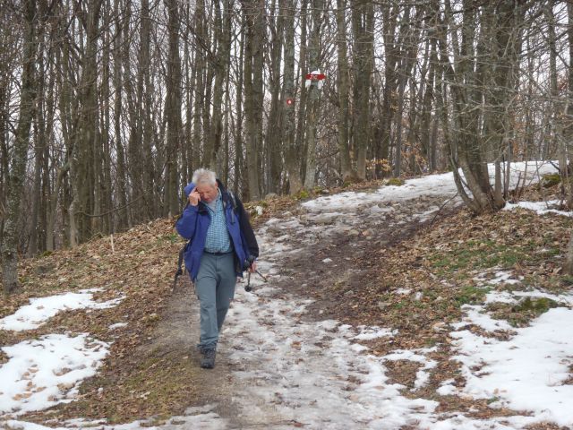 20110313 Trdinov,Mirna in Mala gora,Lavričeva - foto