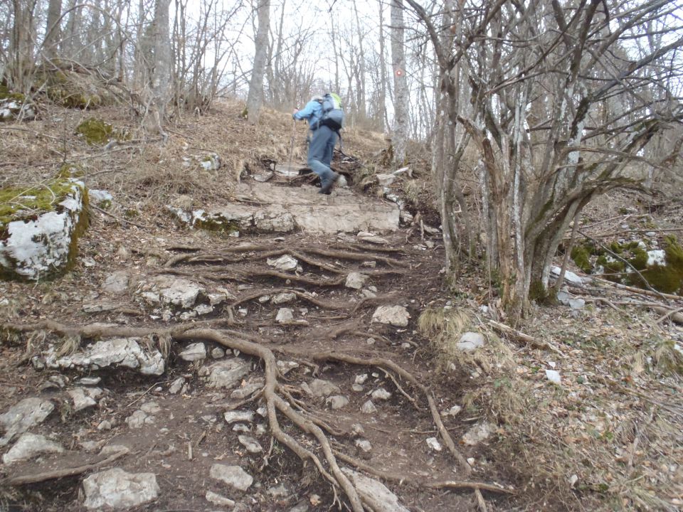 Proti vrhu Male gore nad Ribnico.