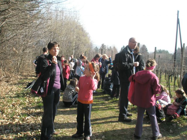 20110329 MO  Pomurja in Podravja - foto