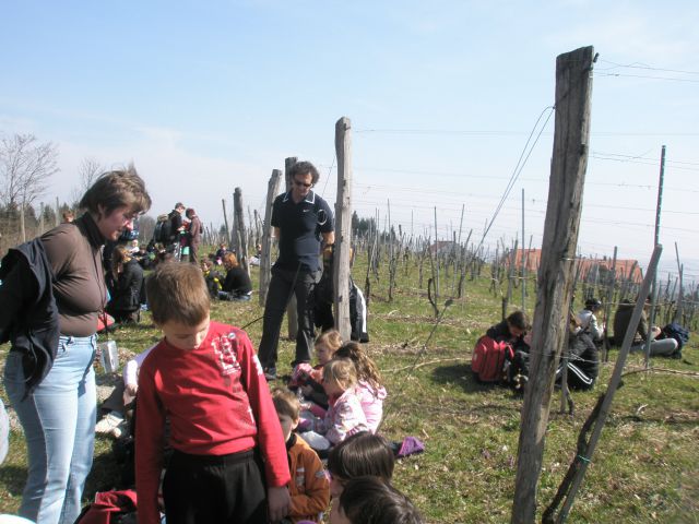 20110329 MO  Pomurja in Podravja - foto