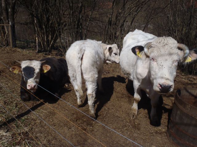 20110403 Slivnica-pekel-krim - foto