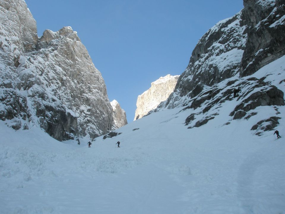 20110302 Jalovčev ozebnik - foto povečava