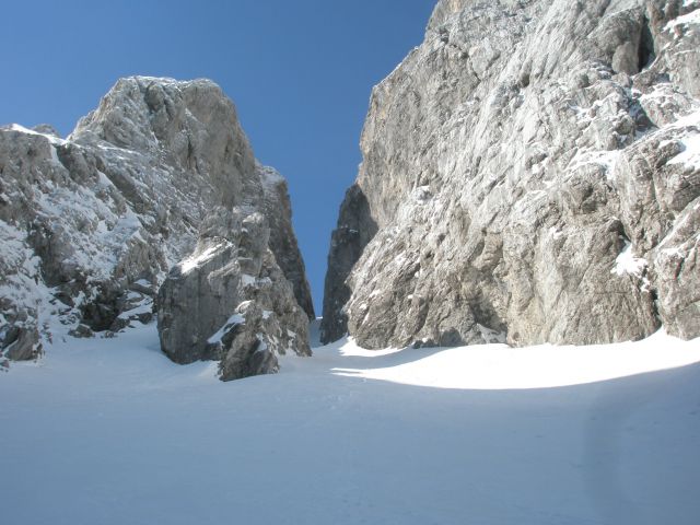 20110302 Jalovčev ozebnik - foto