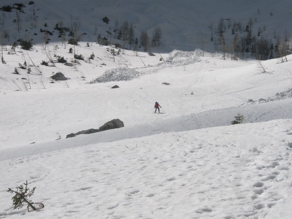 20110302 Jalovčev ozebnik - foto povečava