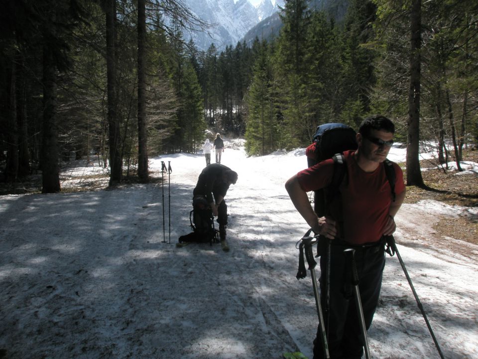 20110302 Jalovčev ozebnik - foto povečava