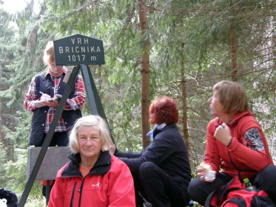 20110416 Bricnik nad Muto-okolica - foto povečava