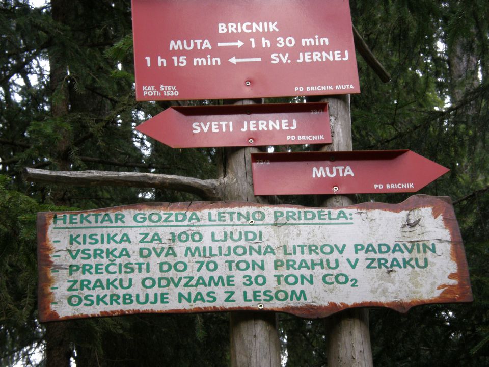 20110416 Bricnik nad Muto-okolica - foto povečava