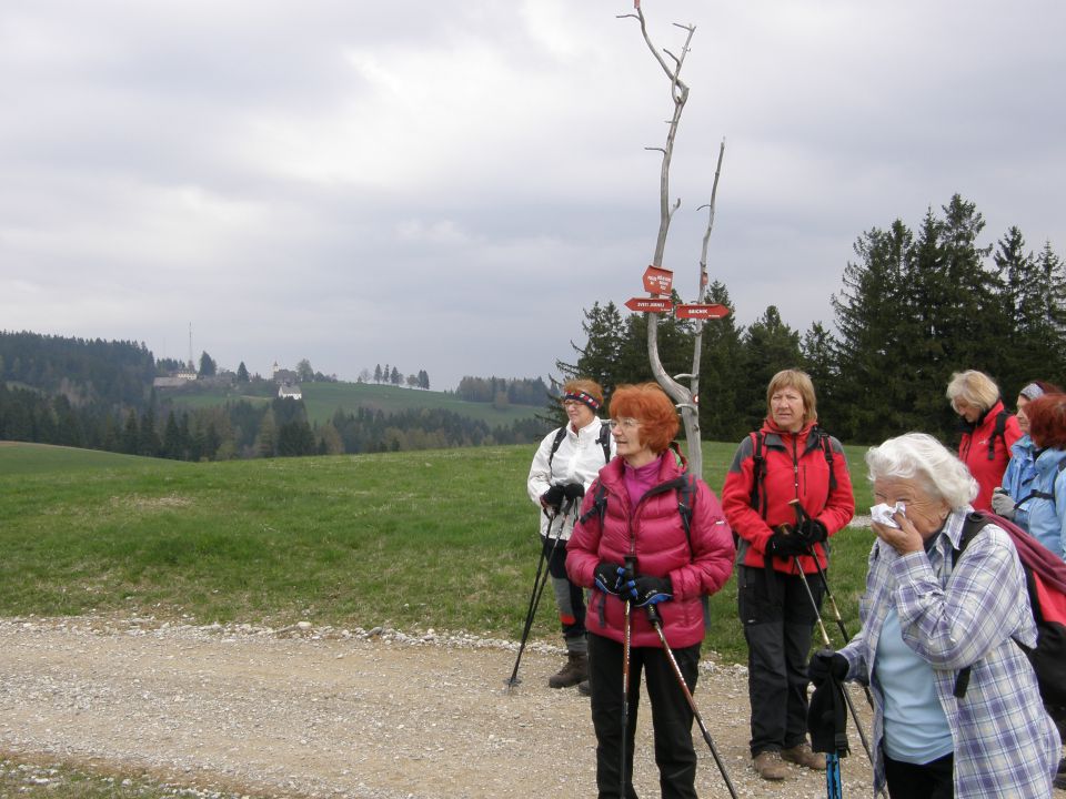 20110416 Bricnik nad Muto-okolica - foto povečava