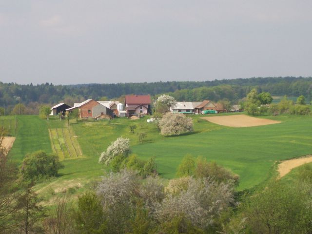 20110417 Okolica Vaneče - foto