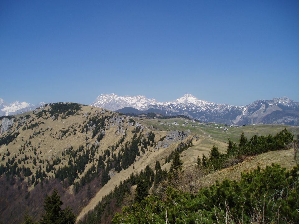 20110420 Velika planina - foto povečava