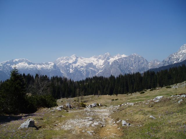 20110420 Velika planina - foto