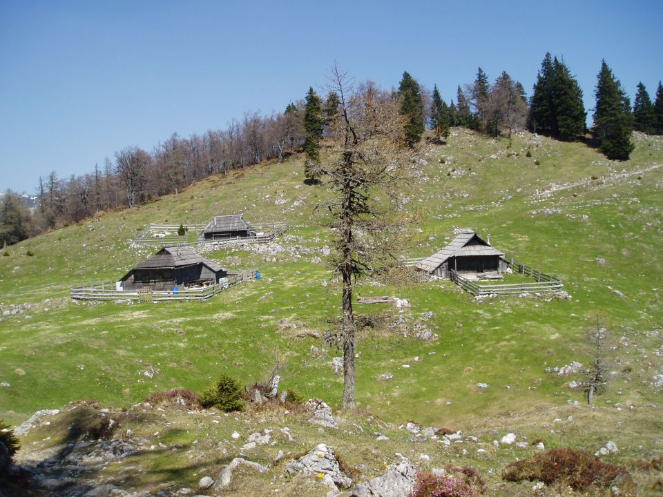 20110420 Velika planina - foto povečava