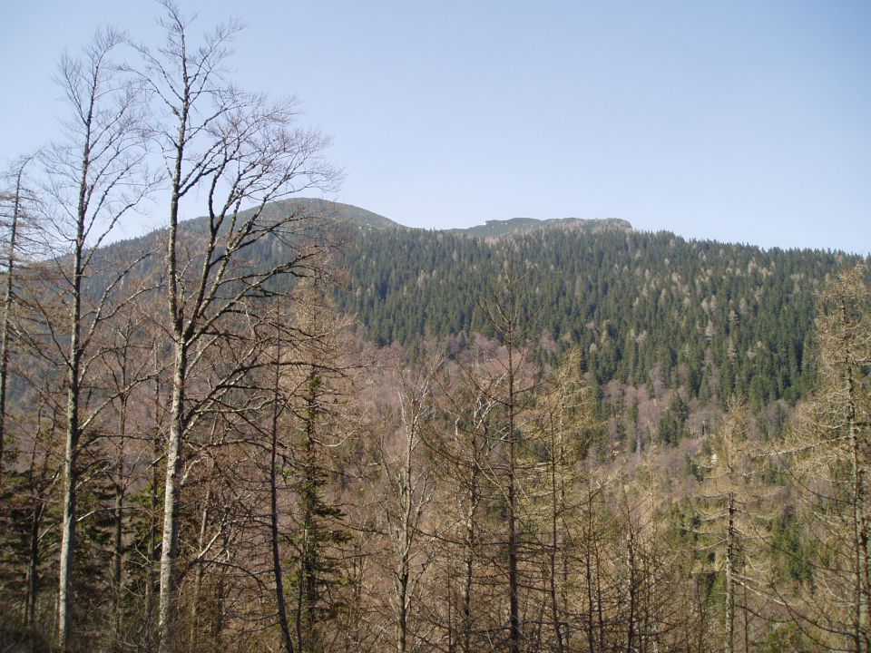 20110420 Velika planina - foto povečava