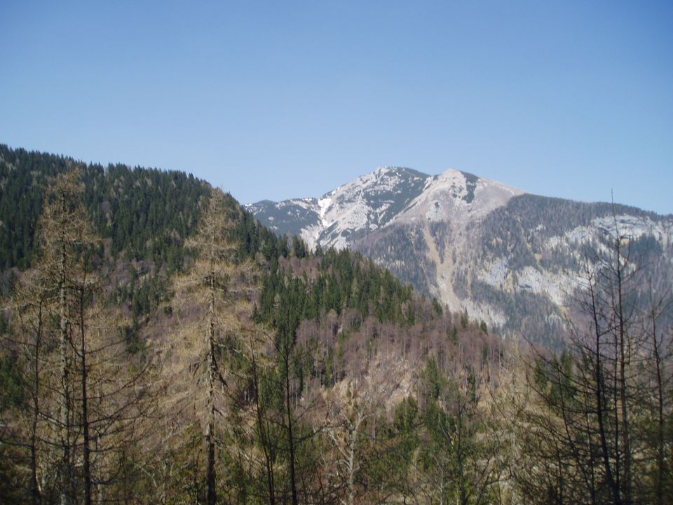 20110420 Velika planina - foto povečava