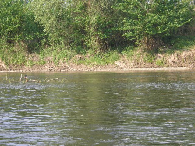 20110425 Velikonočni spust - foto