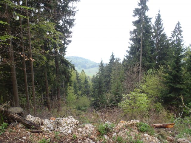 20110502 Kriška gora in dobrča - foto