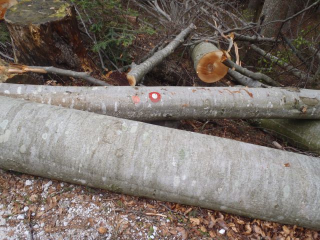 20110502 Kriška gora in dobrča - foto