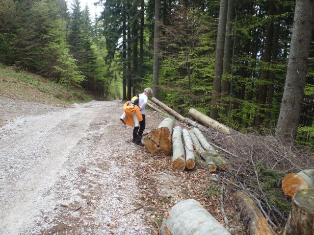 20110502 Kriška gora in dobrča - foto